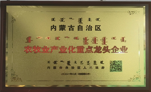 自治區(qū)農牧業(yè)產(chǎn)業(yè)化重點龍頭企業(yè)