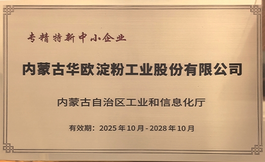 專精特新中小企業(yè)